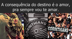 Como eu te amo, meu Corinthians!