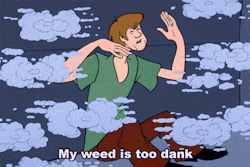 when you smoke the herb it reveals you to