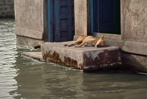 snowce:  Steve McCurry, India 