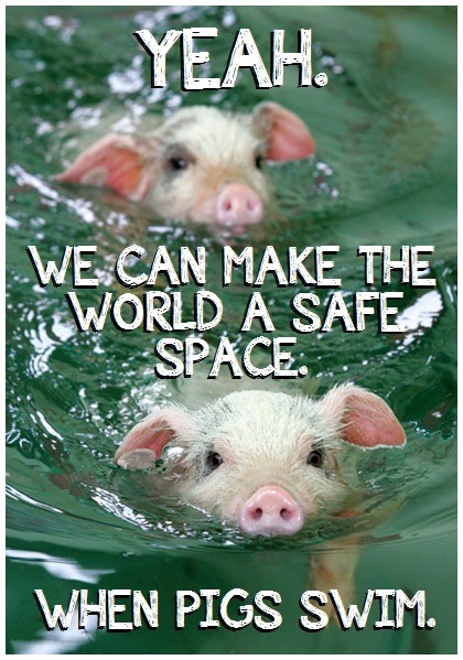 [IMAGE DESCRIPTION: TWO PIGLETS SWIM, HEADS ABOVE THE WATER LOOKING FORWARD. TEXT READS, &ldquo;