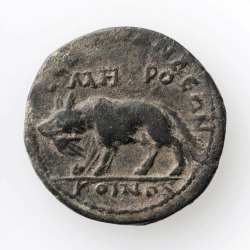 aleyma:  Roman, Coin of Laranda with wolf carrying a human hand in its mouth, 244-247 (source). 