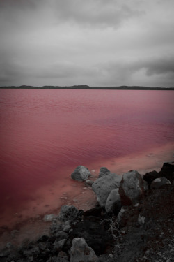 mleting:  milktree:  Australia’s Pink Lake