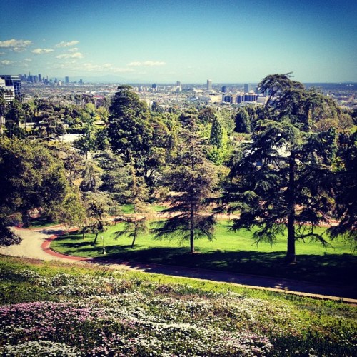 Porn Greystone Mansion & Park photos