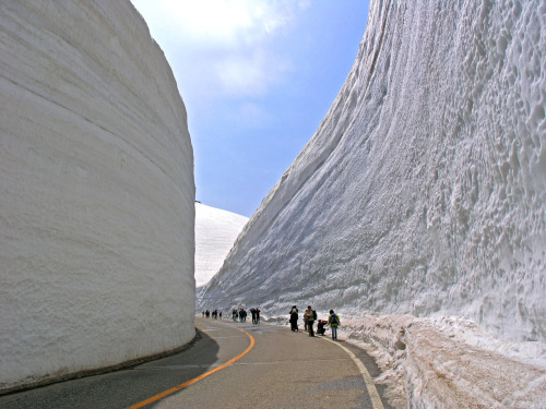 Porn Pics automotivated:  Tateyama Kurobe Alpine Route