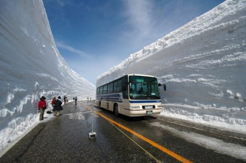automotivated:  Tateyama Kurobe Alpine Route