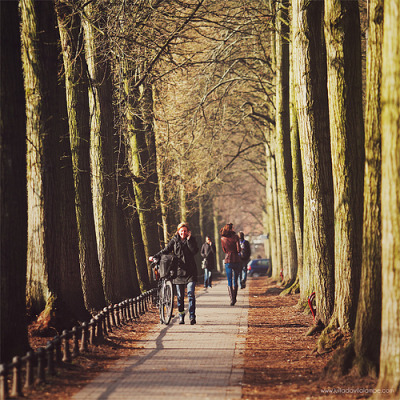 annaharo:
“Promenade, Münster. (by Julia Dávila Lampe [CHAULAFANITA])
”