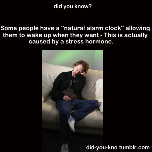 haleyjoleonard:  did-you-kno:  Source  this explains me i usually tell people to wake me up at like 4 and they dont even have to wake me up and tell me i just get up at that time so its like i have a natural alarm clock. i always thought it was cool.