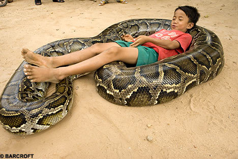 k8erade:idiot. you know this kid and snake have been friends since he was very very young right, the