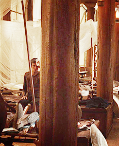  Percy Jackson &amp; the Olympians: The lightning Thief (movie) ↳ Camp Half-Blood