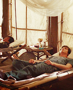  Percy Jackson &amp; the Olympians: The lightning Thief (movie) ↳ Camp Half-Blood