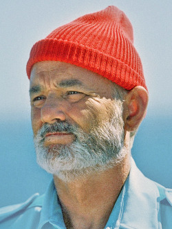 Team Zissou