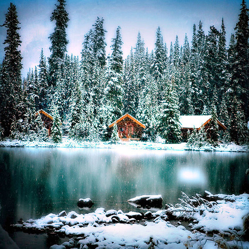 Winter Wonderland (by Clickr Bee)