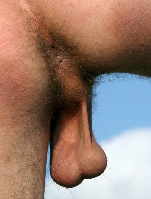 hot4hairy:  H O T 4 H A I R Y  Tumblr |  Twitter | Email HAIR HAIR EVERYWHERE! 