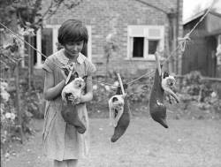 frenchtwist:  via what-floats-my-boat:  “A little girl hangs three Siamese kittens on a washing line in a garden in Croydon, London. (Photo by Fox Photos/Getty Images). 14th July 1931”  