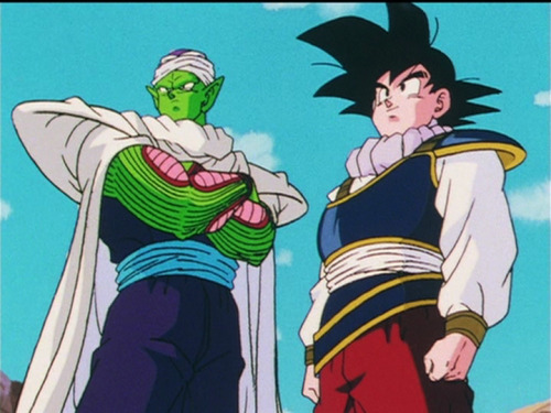 piccolo