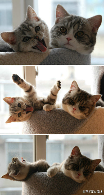 Great, you found me..............