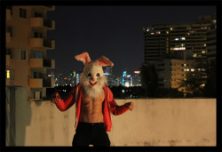  Easter Bunny? WTF! - Alexander Guerra 2012