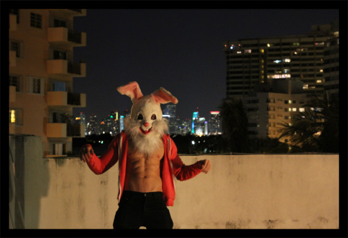  Easter Bunny? WTF! - Alexander Guerra 2012 *check out the video on YOUTUBE at: http://www.youtube.com/watch?v=dw0SkIain8M&feature=g-upl&context=G269e58aAUAAAAAAAAAA alexanderguerra.com ***SALE GOING ON NOW AT FAB.COM*** 