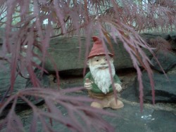 Meet gnomie. Lol