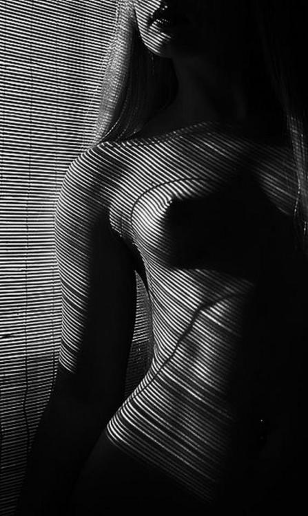 SoldierGrl:  Be sure to check out 4thetroops  Sehr erotisch ♥