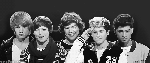 Ser directioner é ser louca, idiota, tarada, dedicada, polígama, apaixonada, mãe, melhor amiga, ser directioner é vida. Ser directioner é ir dormir tarde, é viciar nas melhores músicas ,é comer cenouras, é odiar colheres, é ter um obsessão