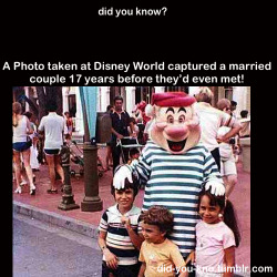 did-you-kno:  The bride Donna is on the right and the groom is the one in the stroller with his father pushing the stroller. Source