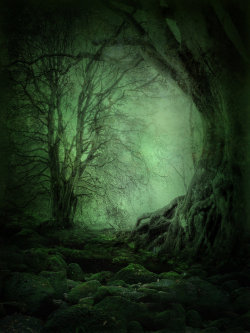 mykindafairytalee:  Mystery Woods Background 03 by *frozenstocks