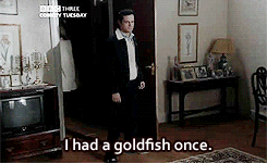 andrewscottfangirl:I HAD A GOLDFISH ONCE.