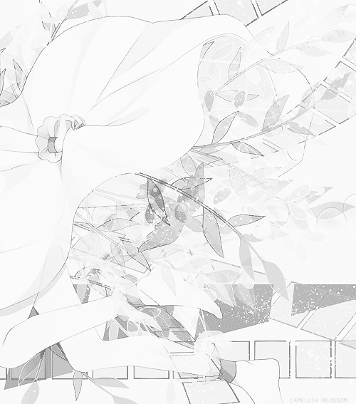 camellia-blossom:  Original: ۵ | camellia-blossom  