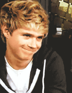 Life as an Awkward Tumblr Teenage Girl...Niall Horan edition