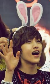 kbskpop:  My new easter bunny this year u