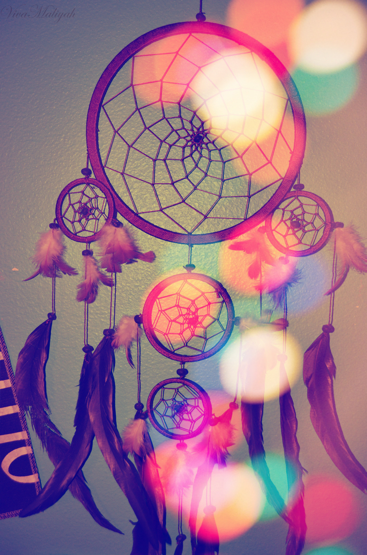 still dreaming