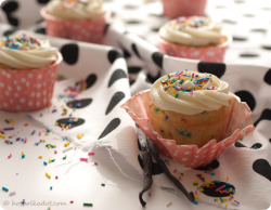 gastrogirl:  double cream cheese funfetti cupcakes. 