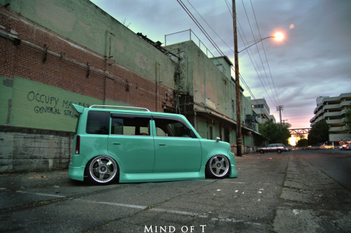 sciontist