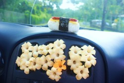 saativaa:  Hawaiian air freshener  