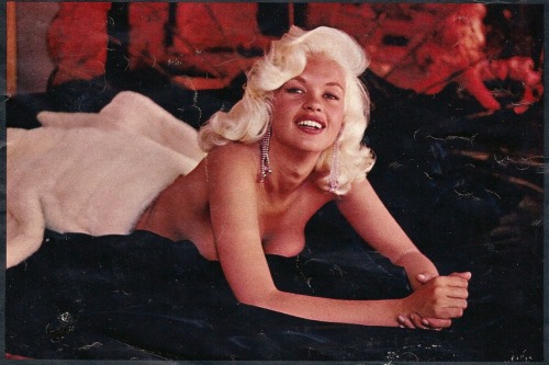 XXX  Jayne Mansfield, Playboy, Sex Stars of the photo