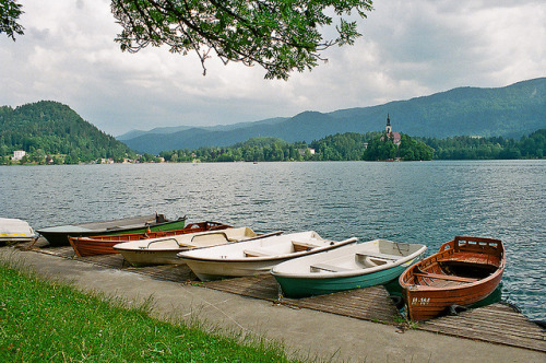 Bled by mityaguimon on Flickr.