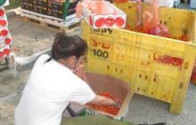 IDF soldiers volunteer in Passover food distributionSoldiers and civilians work together to distribu