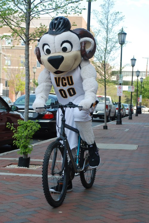 vcurambikes: Rodney the Ram was amazing today during the photo shoot! Here is a teaser shot! :) 