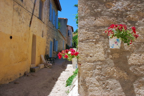 (via Alacati Flowers, a photo from Izmir, Aegean | TrekEarth) Alacati, Turkey