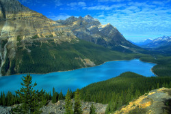 sav3mys0ul:  Peyto Lake, Icefields Parkway,