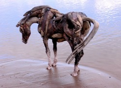 equinebeasties:  Driftwood Horses by Heather