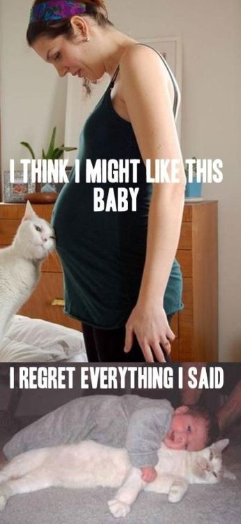 Cute baby animals with funny captions