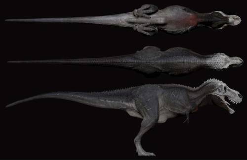 mesozoica spinosaurus mesozoica spinosaurus