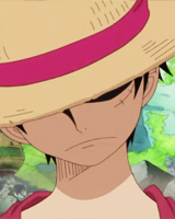 ame-samurai:  Monkey D. Luffy - One Piece Requested By: madoshi 