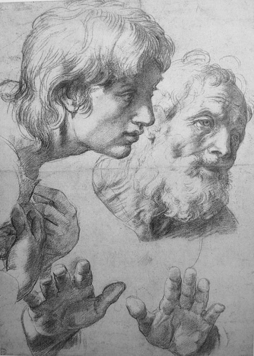 paperimages:  Raffaello Sanzio da Urbino, transfiguration study 