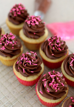Desserts-N-Sweets:   Vanilla Cupcakes With Basic Chocolate Frosting.    Desserts-N-Sweets.tumblr.com