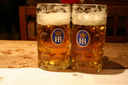 collective-solace:  aconglomerateofthought:  Hofbrauhaus, Munich, Germany by Graham Spicer on Flickr.  The best beer I have ever had