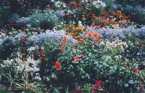 escape-from-my-mind:  (by Annosh Urbanke) 