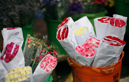 silverest:  Hong Kong flower market 